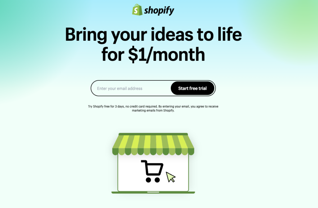 Shopify online store