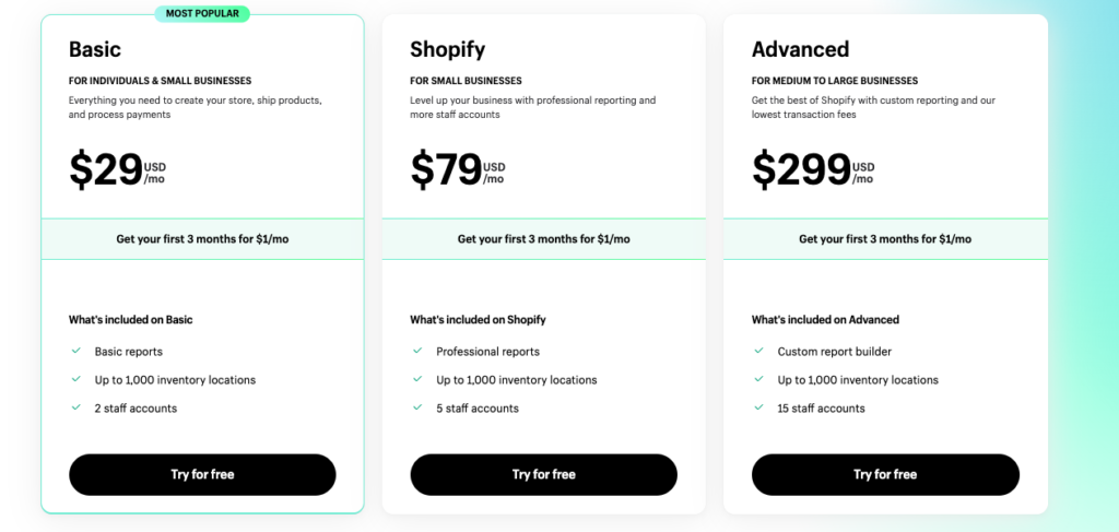Shopify store builder pricing